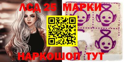 тгк Бийск