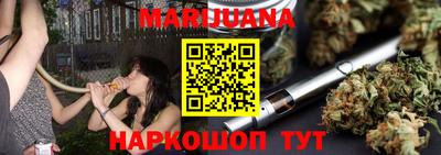 тгк Бийск