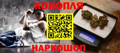 тгк Бийск