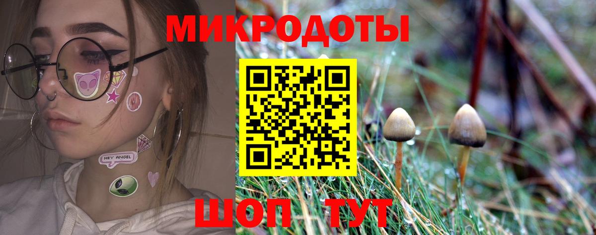 где продают наркотики  Вход с VPN  Киров  Псилоцибиновые грибы мухоморы  Галлюциногенные грибы Psilocybine cubensis 