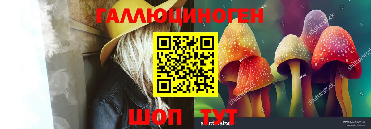 Галлюциногенные грибы GOLDEN TEACHER Киров